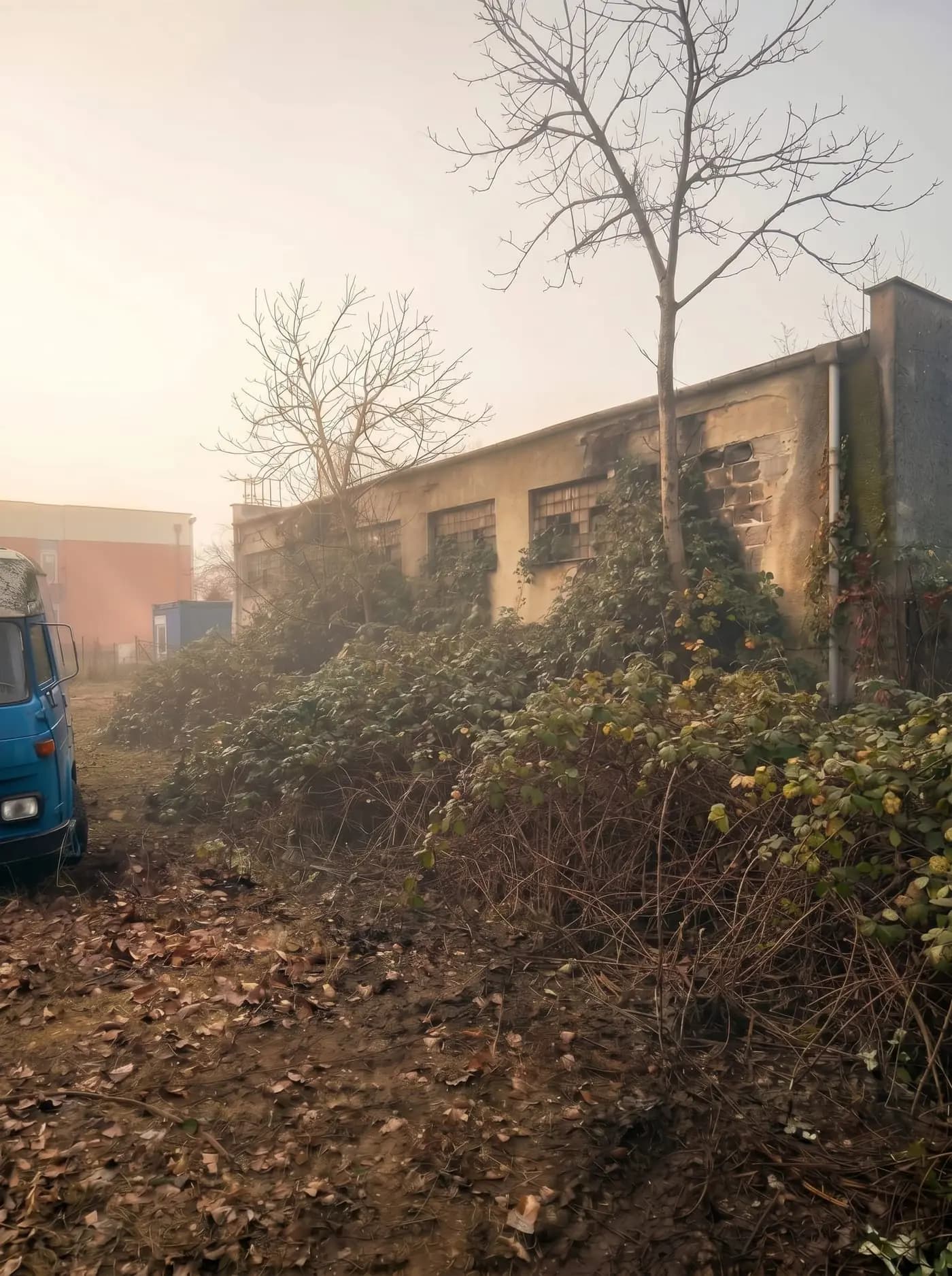 Čistenie zarasteného okolia objektu od buriny a náletov