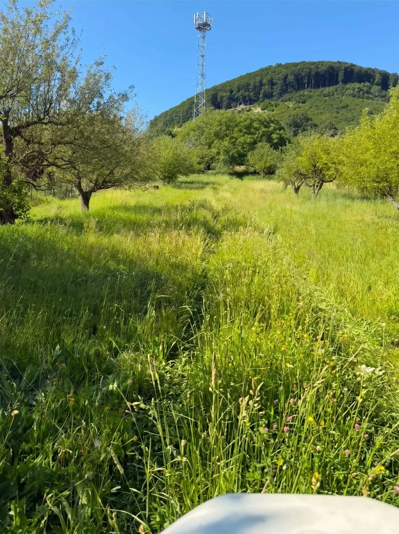 Kosenie trávy v ovocnom sade pod kopcom
